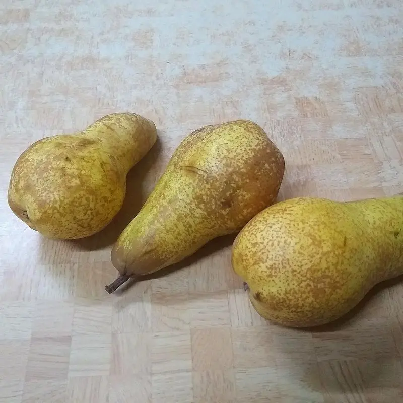 Tres peras abate fetel alargadas de piel amarillo verdosa sobre una mesa de madera clara