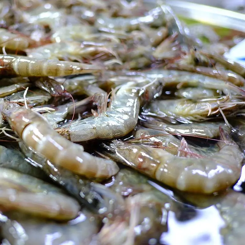 Montón de gambas rosadas crudas y brillantes