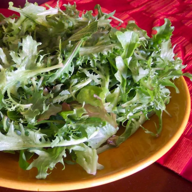 Hojas tiernas variadas de ensalada en un plato naranja
