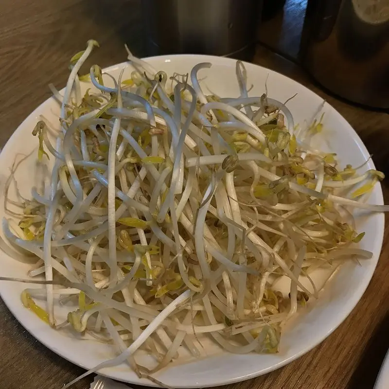 Brotes de soja sobre un plato blanco