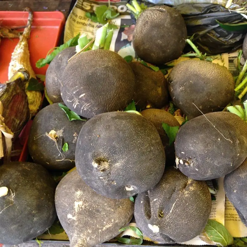 Rábanos negros redondos apilados en un puesto de mercado