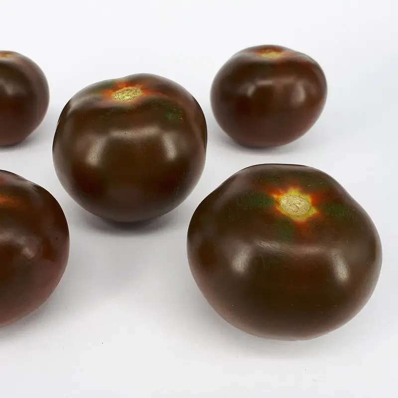 Cinco tomates negros tipo Kumato, enteros, sobre fondo blanco