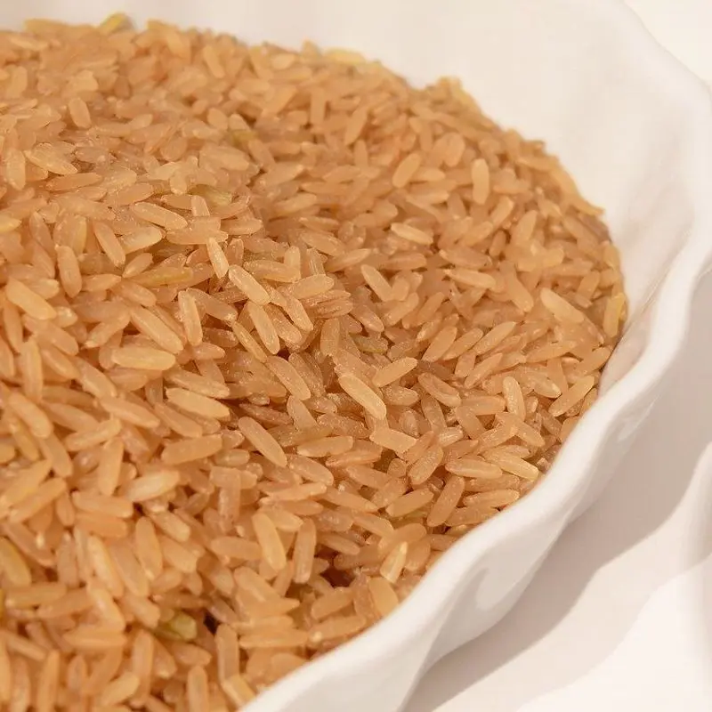 Arroz integral cocido en una fuente blanca