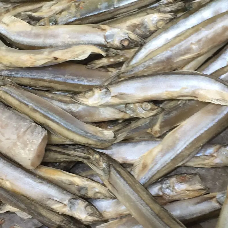 Capelanes congelados enteros apilados