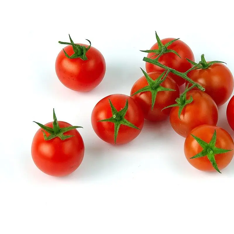 Tomates cherry rojos sobre fondo blanco