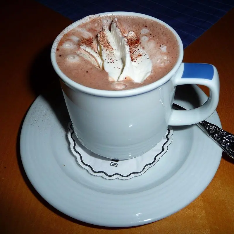 Taza de chocolate caliente con nata sobre un plato
