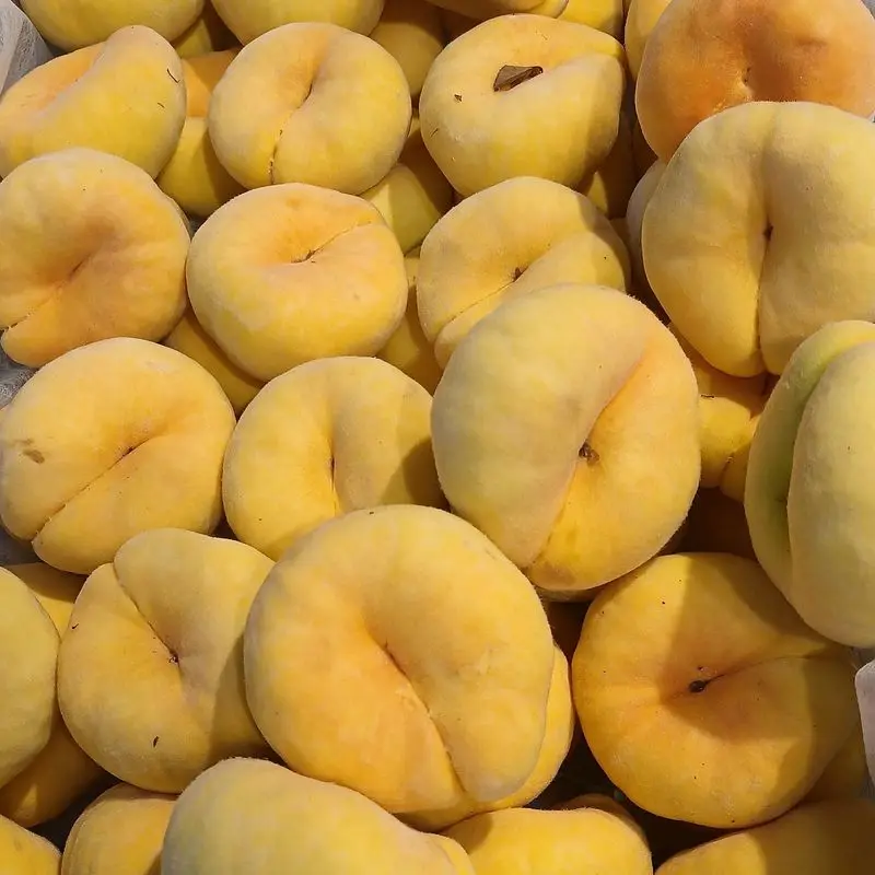 Frutas planas amarillas tipo platerina, amontonadas en primer plano