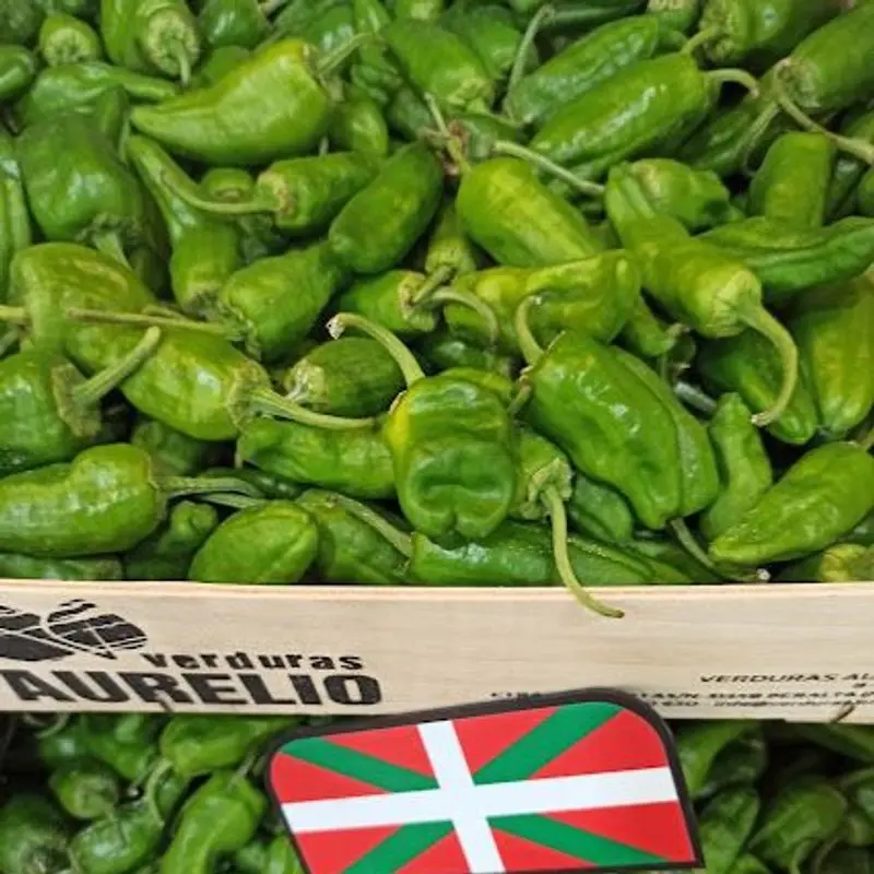 Pimientos verdes pequeños de Gernika amontonados, brillantes y recién recogidos