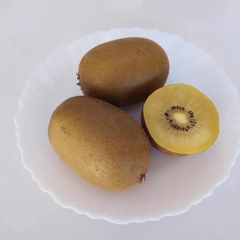 Dos kiwis amarillos de piel marrón, uno partido, sobre un plato blanco