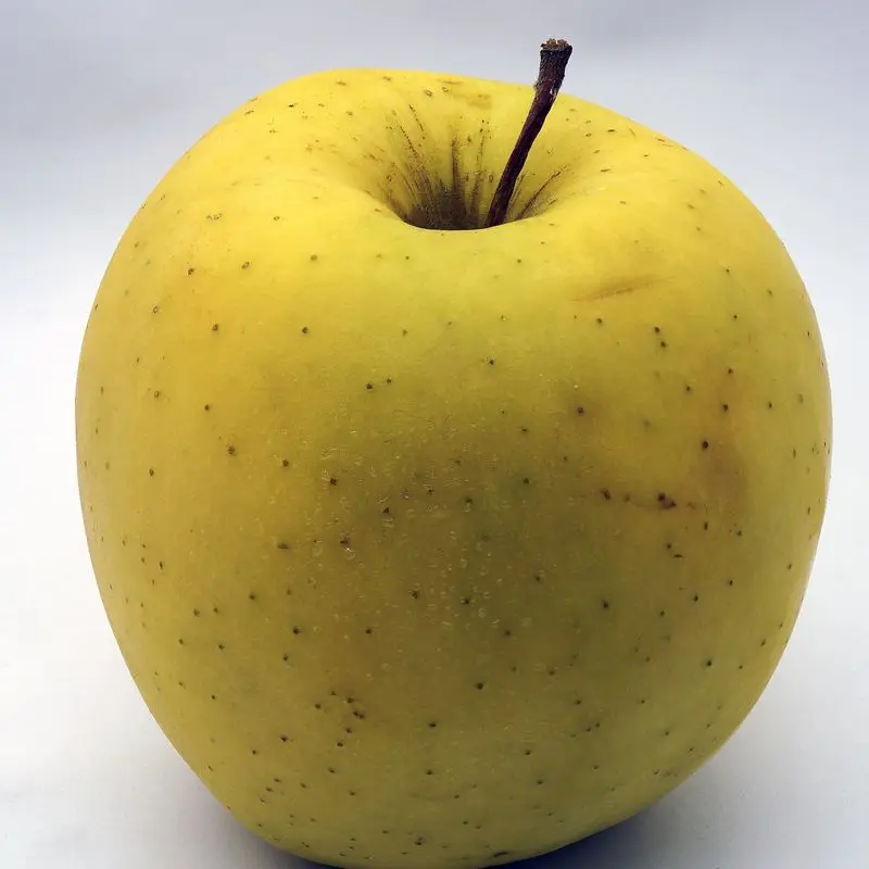 Manzana golden amarilla entera con pequeñas motas, sobre fondo blanco