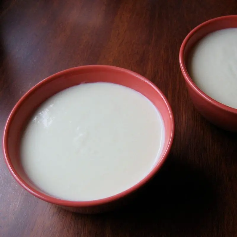 Dos cuencos rojos con crema fría blanca de puerro y patata