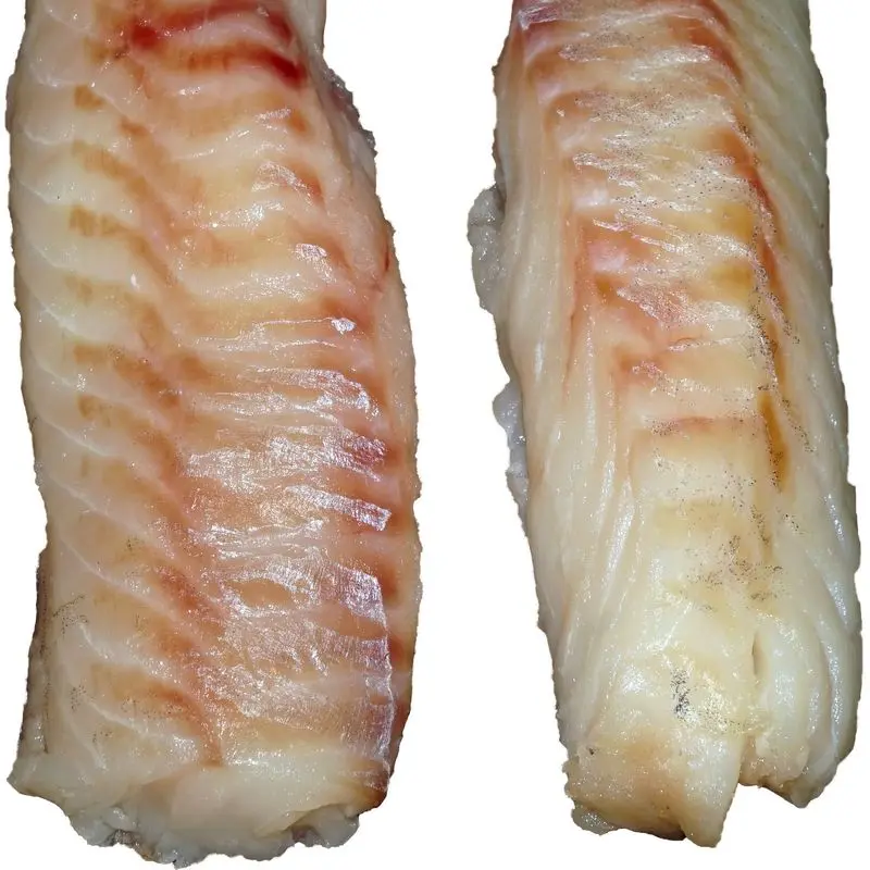 Dos lomos de pescado blanco crudos sobre fondo blanco