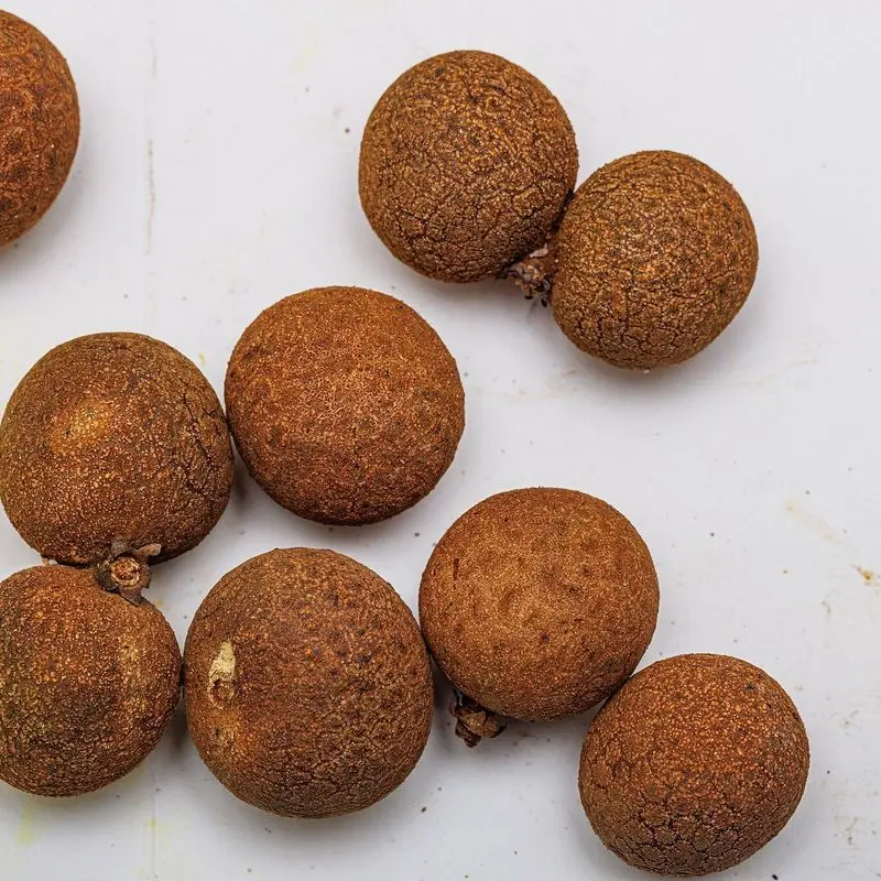 Frutos de longan enteros de piel marrón sobre fondo blanco