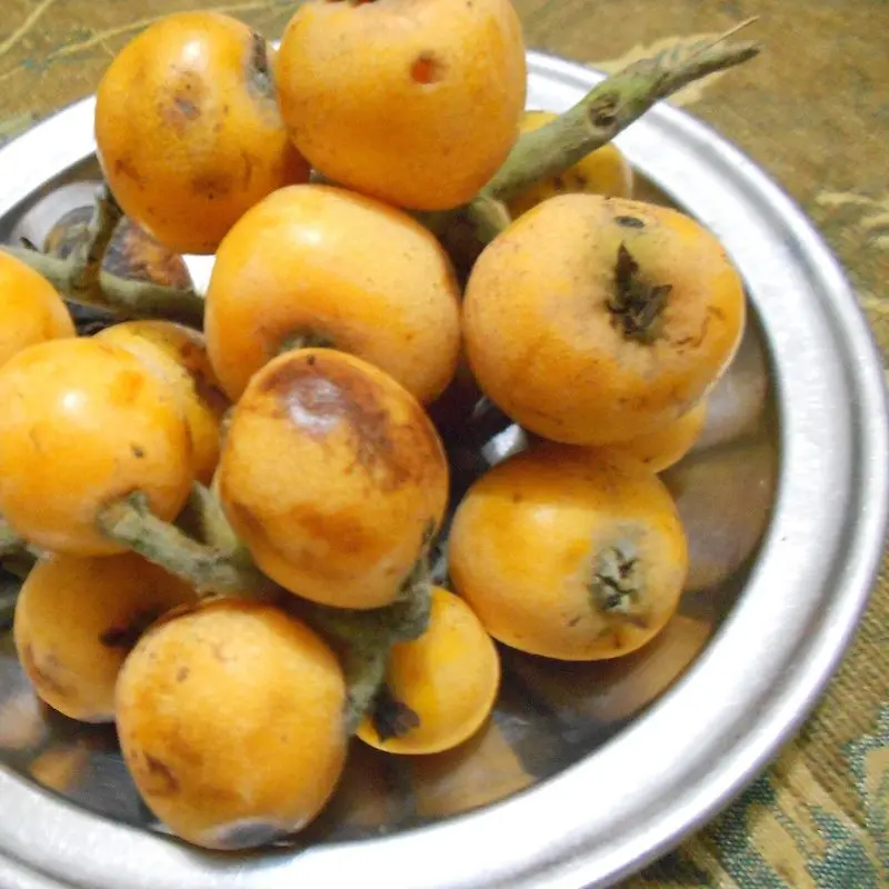 Nísperos maduros de color naranja en un plato metálico