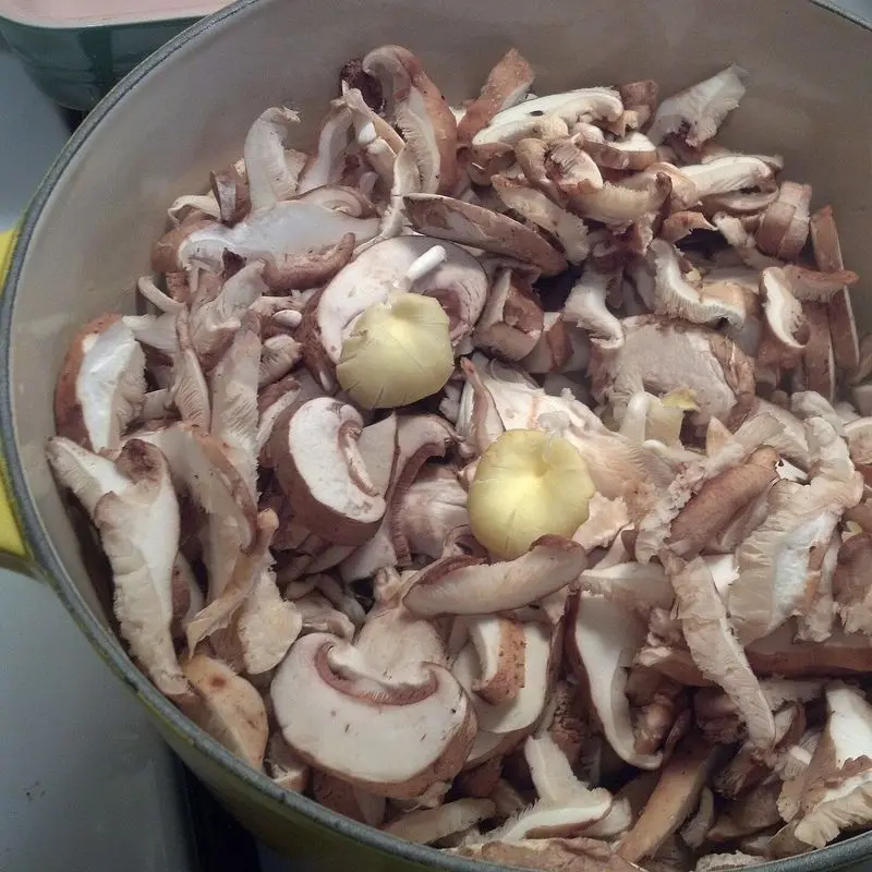 Cazuela con setas y champiñones variados laminados