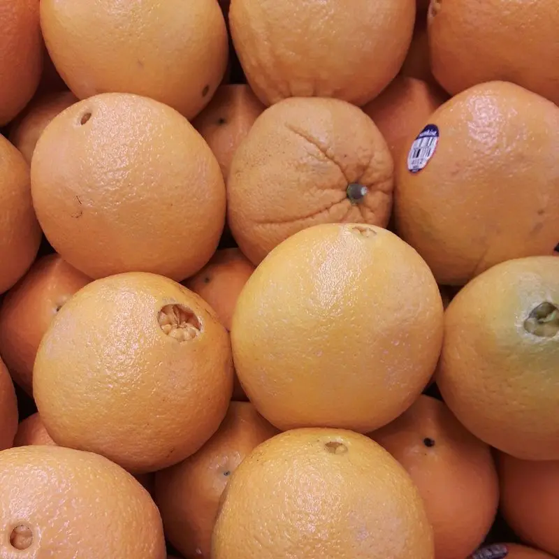 Naranjas navel enteras de piel anaranjada, amontonadas en primer plano