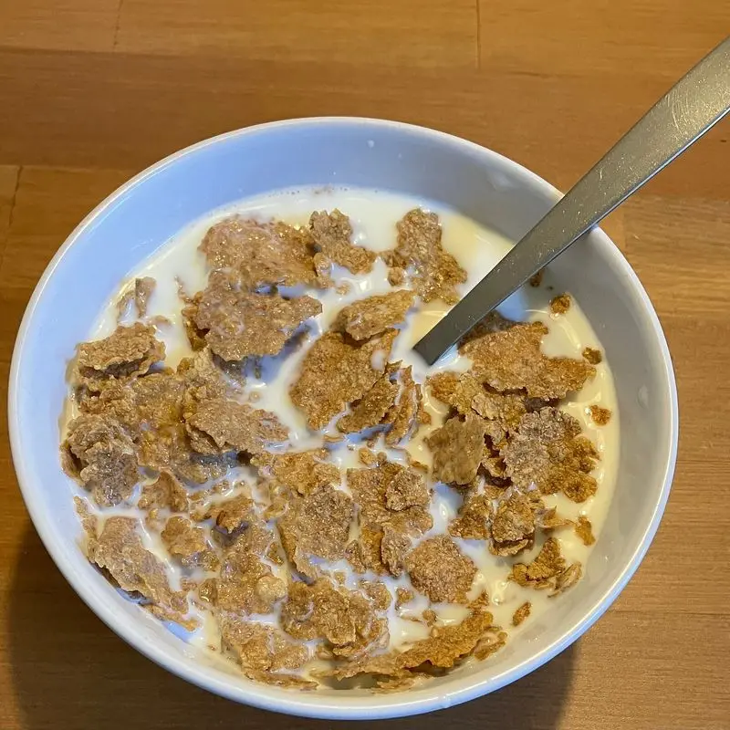 Cuenco blanco de copos de trigo integral con leche y una cuchara