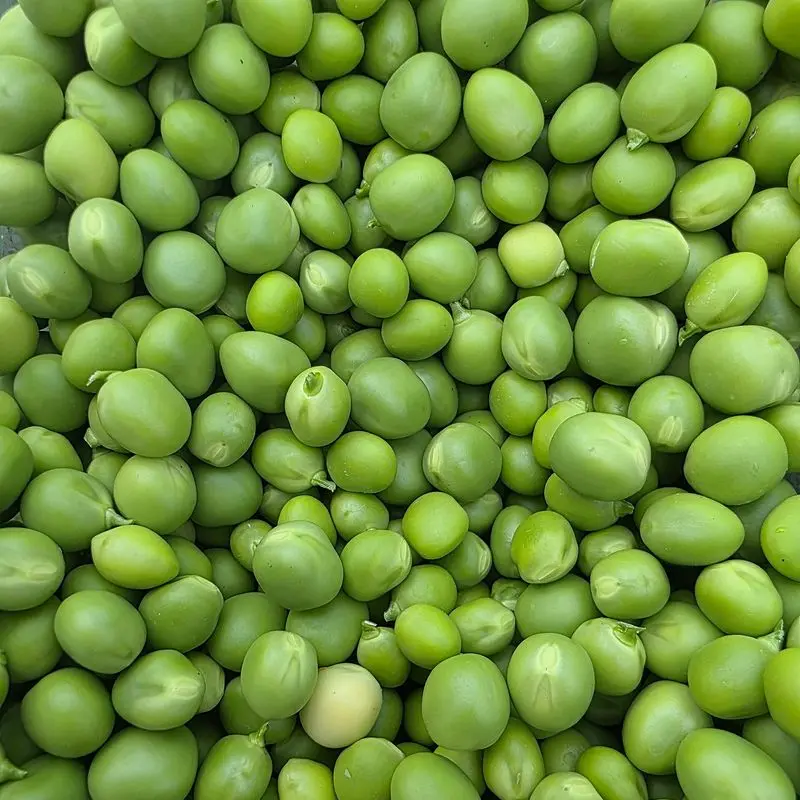 Guisantes verdes en primer plano llenando todo el encuadre