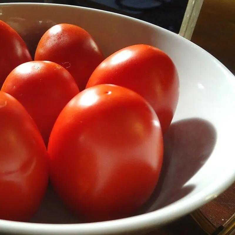 Tomates pera rojos en un cuenco blanco