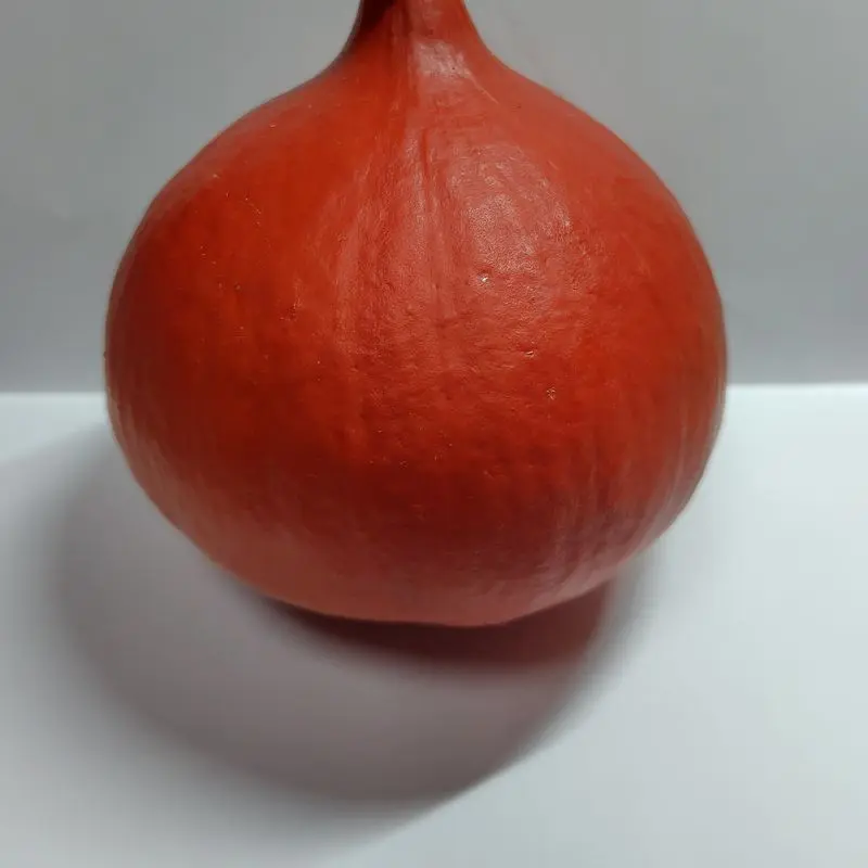 Calabaza potimarrón naranja rojiza entera sobre fondo claro