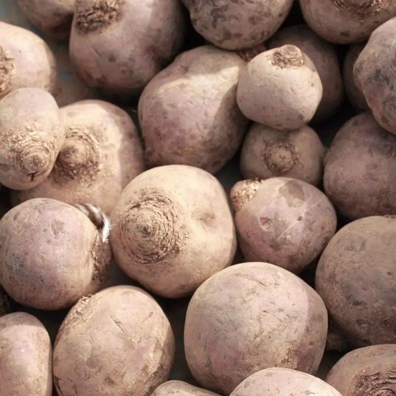 Nabicols crudos amontonados