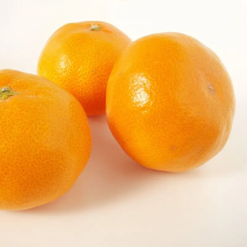 Tres mandarinas satsuma enteras sobre fondo blanco