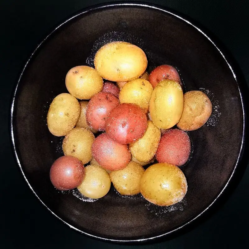 Patatas pequeñas cocidas, amarillas y rojas, en un cuenco oscuro