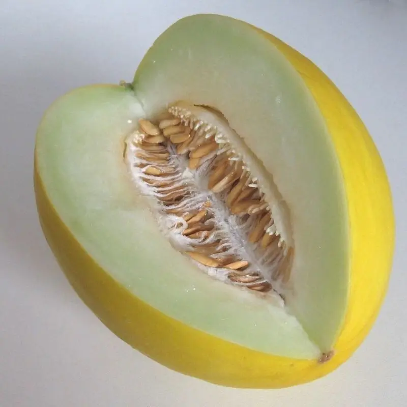 Melón amarillo abierto con semillas y un gajo sobre fondo gris claro