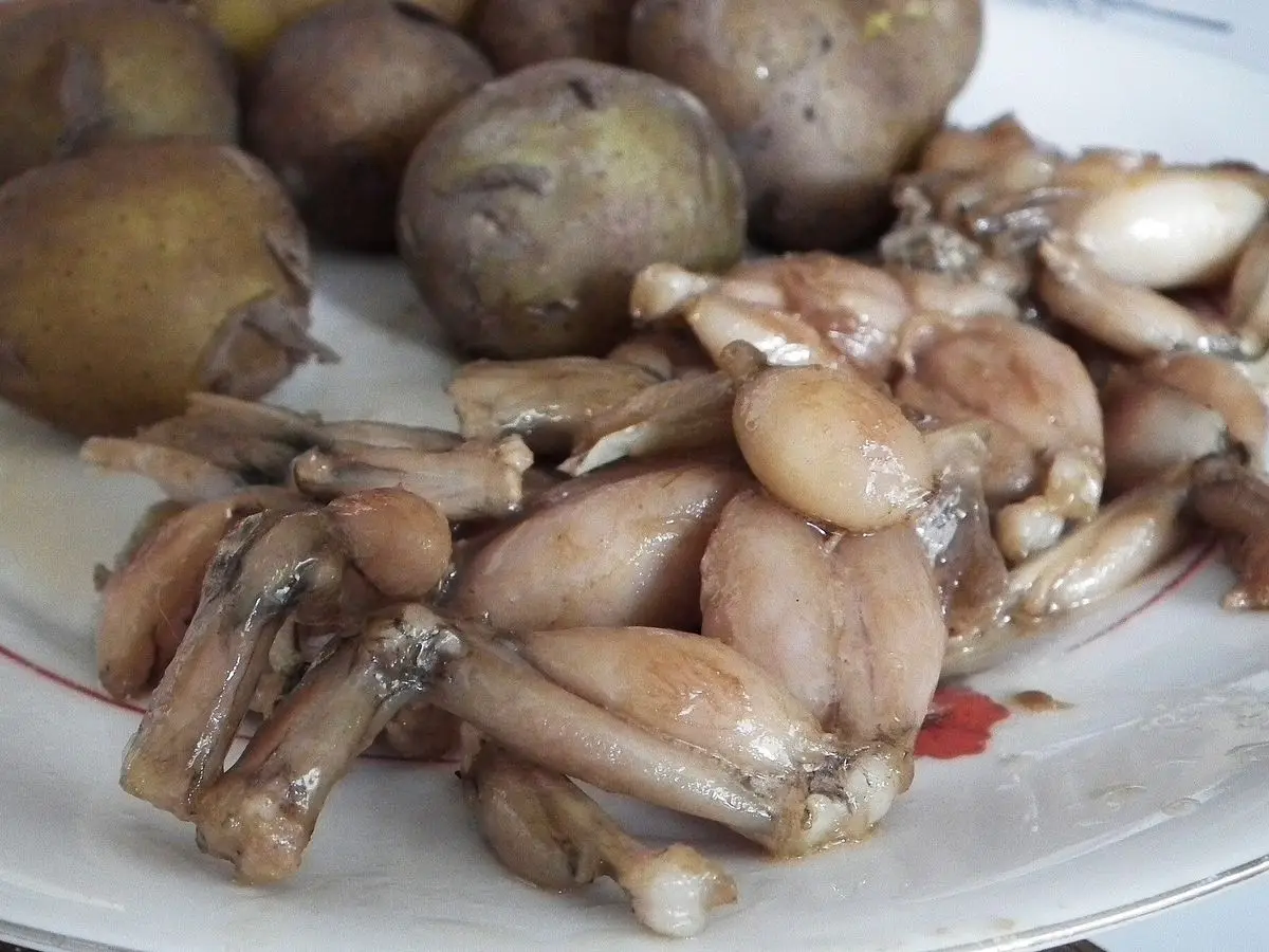 Ancas de rana cocinadas con patatas pequeñas en un plato blanco