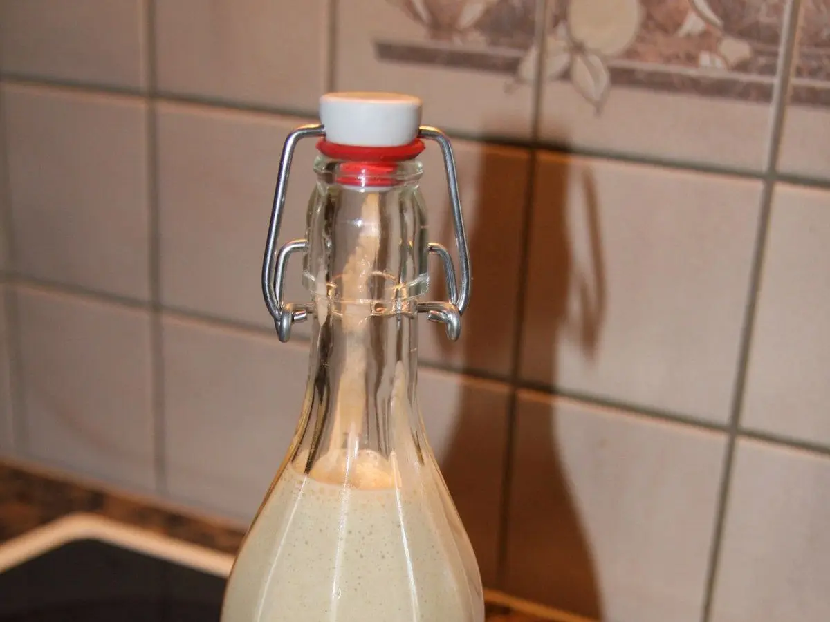 Botella de cristal con bebida cremosa de avena de color crema sobre una encimera
