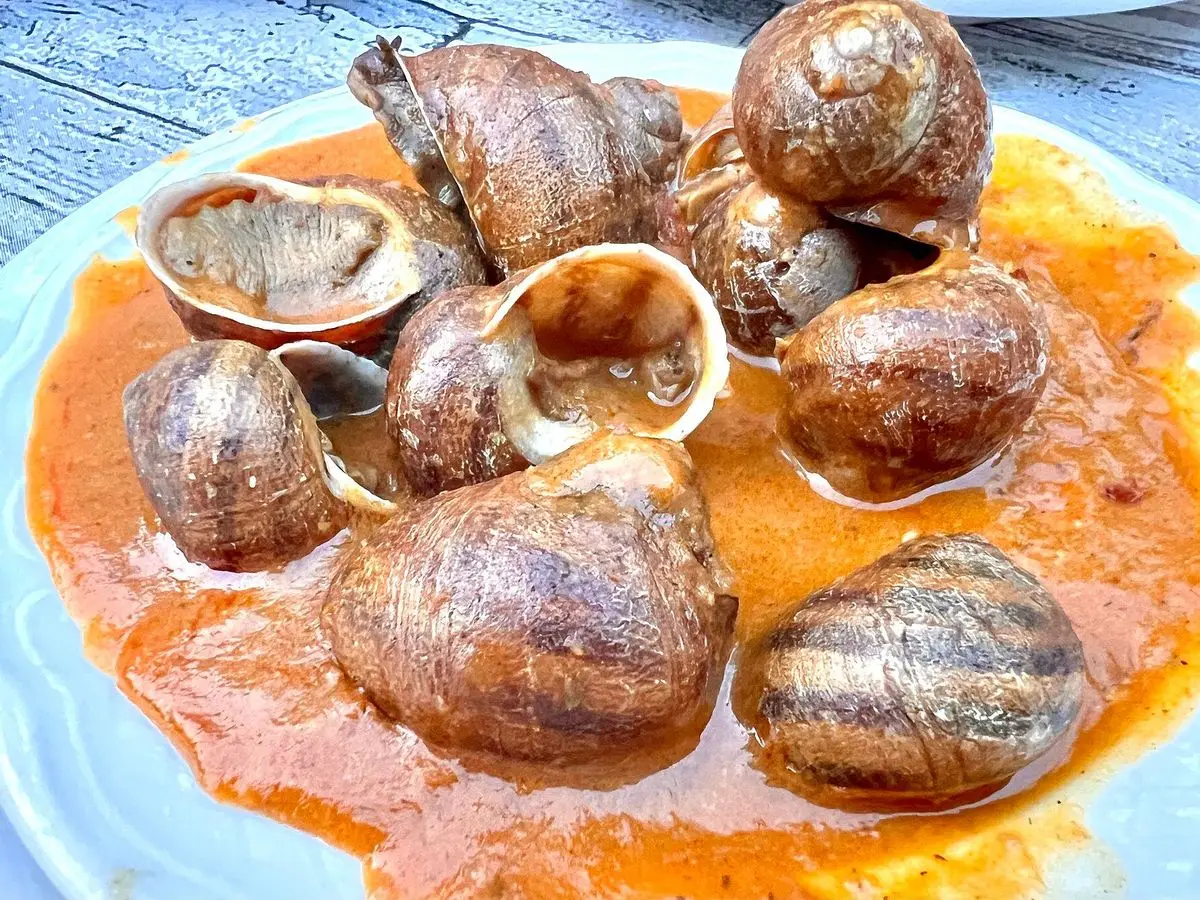 Plato de caracoles cocinados en salsa de tomate anaranjada