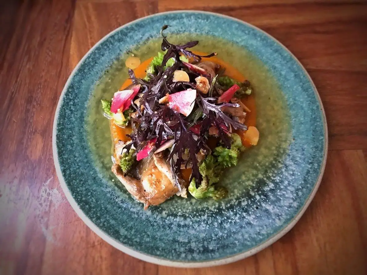 Codorniz a la parrilla sobre ensalada de hojas moradas y verdes en un plato azul