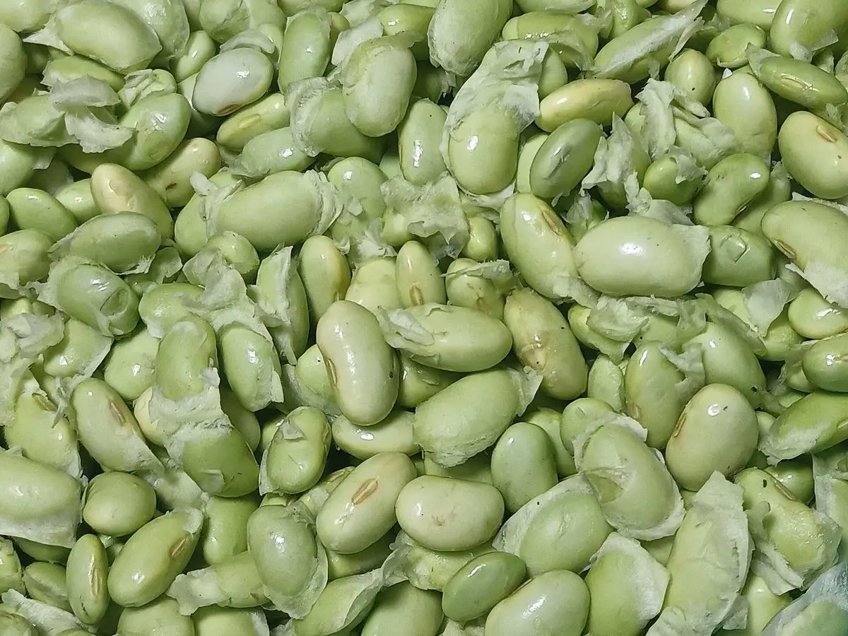 Montón de granos de edamame pelados de color verde claro