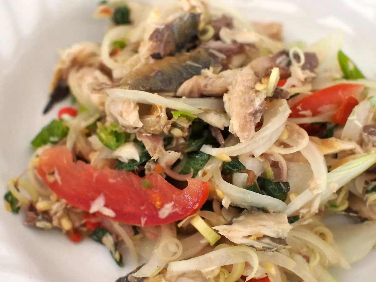 Plato blanco con ensalada de pescado desmenuzado, cebolla en tiras y tomate
