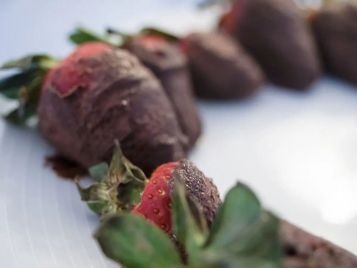Fresas bañadas en chocolate negro alineadas sobre un plato blanco