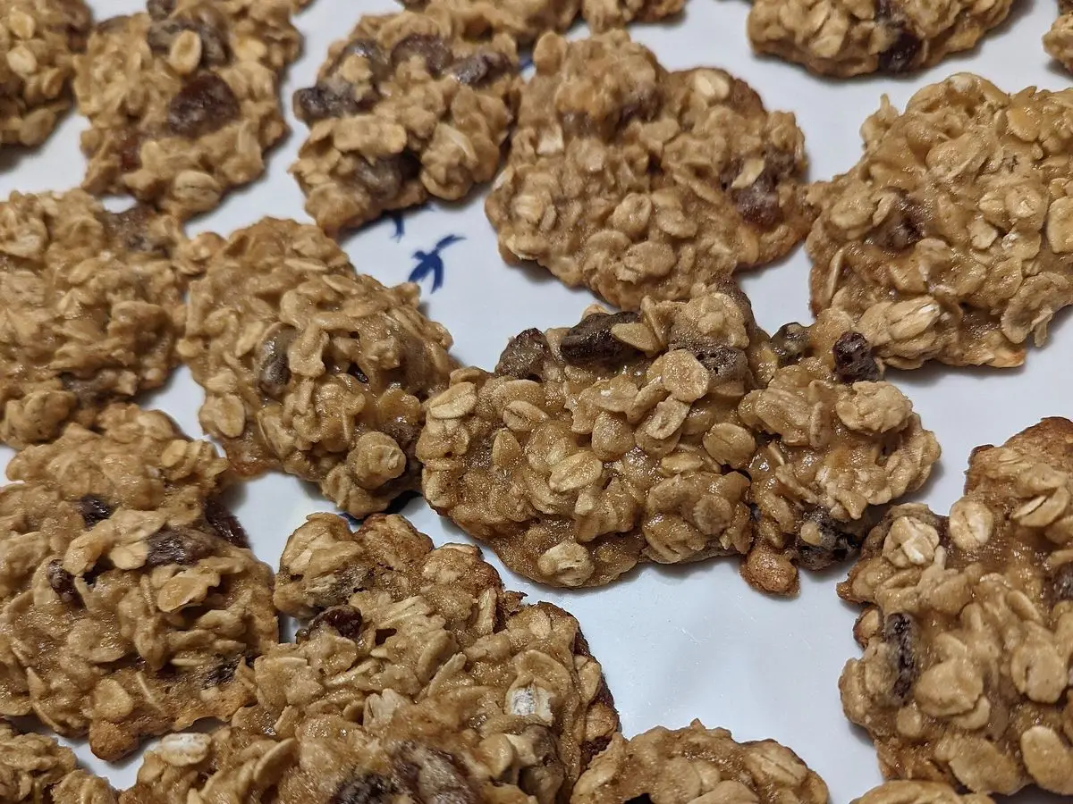 Galletas de avena con pasas recién horneadas, dispuestas sobre una bandeja blanca