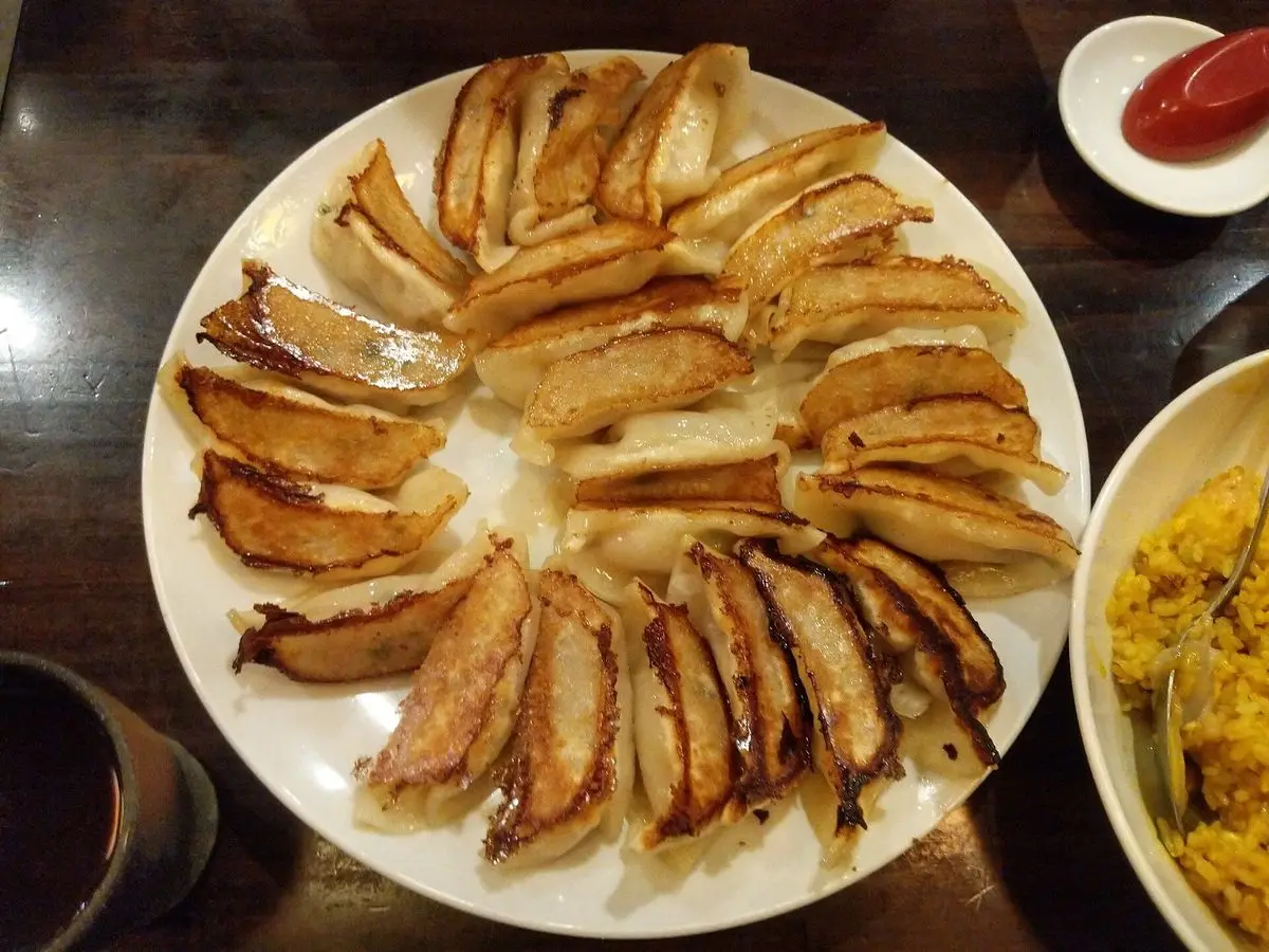 Empanadillas gyoza doradas a la plancha dispuestas en abanico en un plato blanco