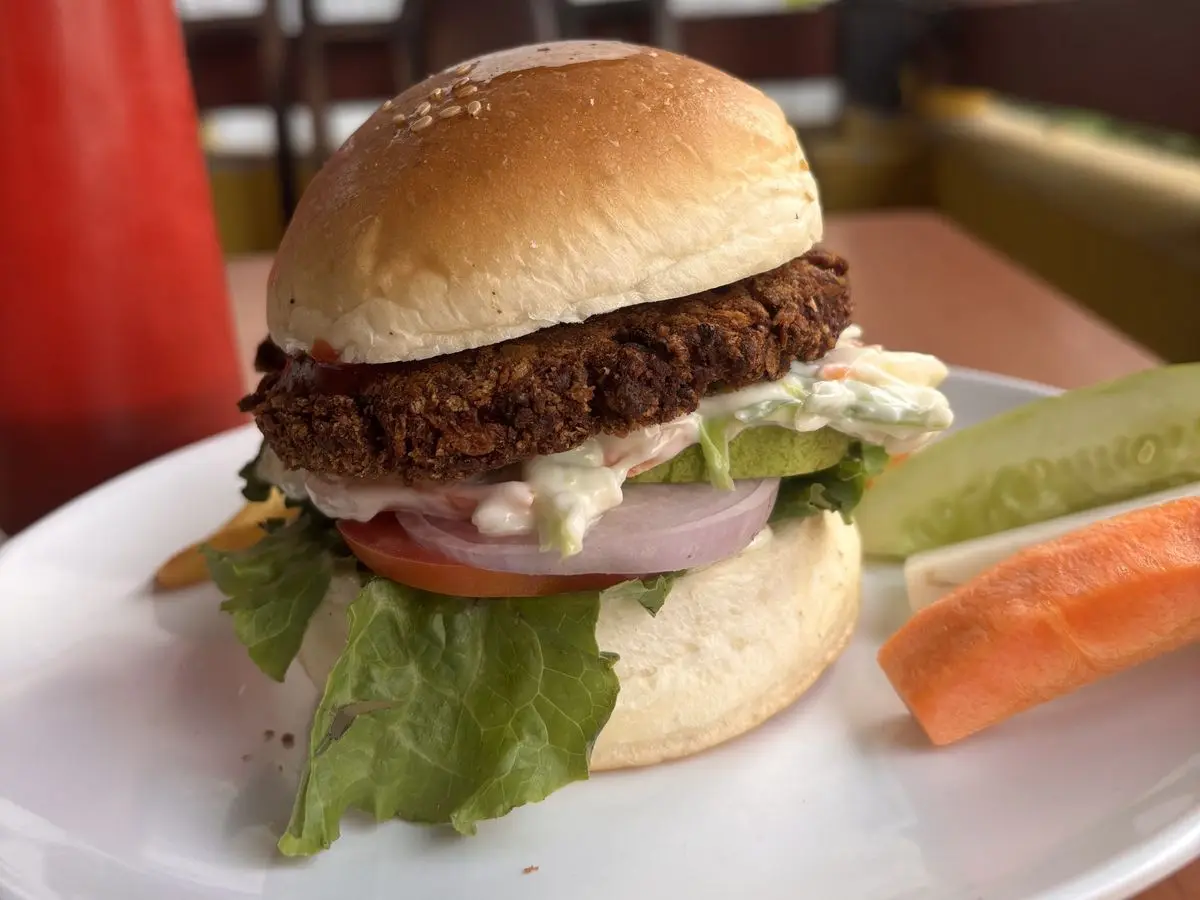 Hamburguesa con lechuga, tomate, cebolla y salsa, acompañada de bastones de pepino y zanahoria