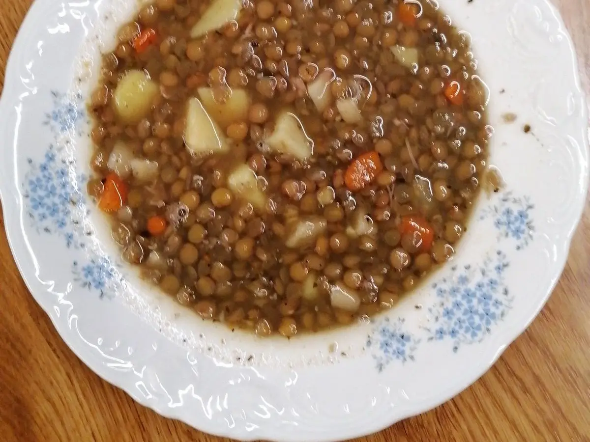 Plato de lentejas estofadas con patata y zanahoria en una vajilla con flores azules