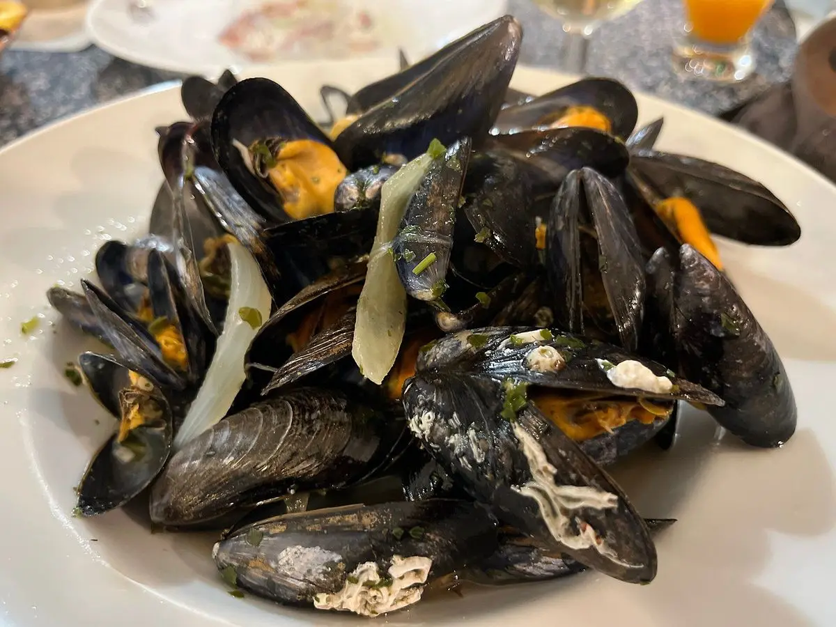 Mejillones cocidos con su salsa y hierbas servidos en un plato hondo