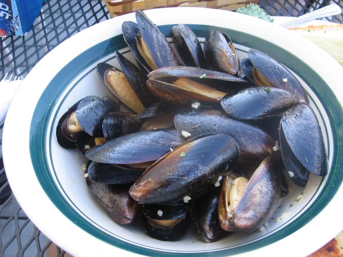 Plato hondo blanco con mejillones cocidos abiertos de concha negra