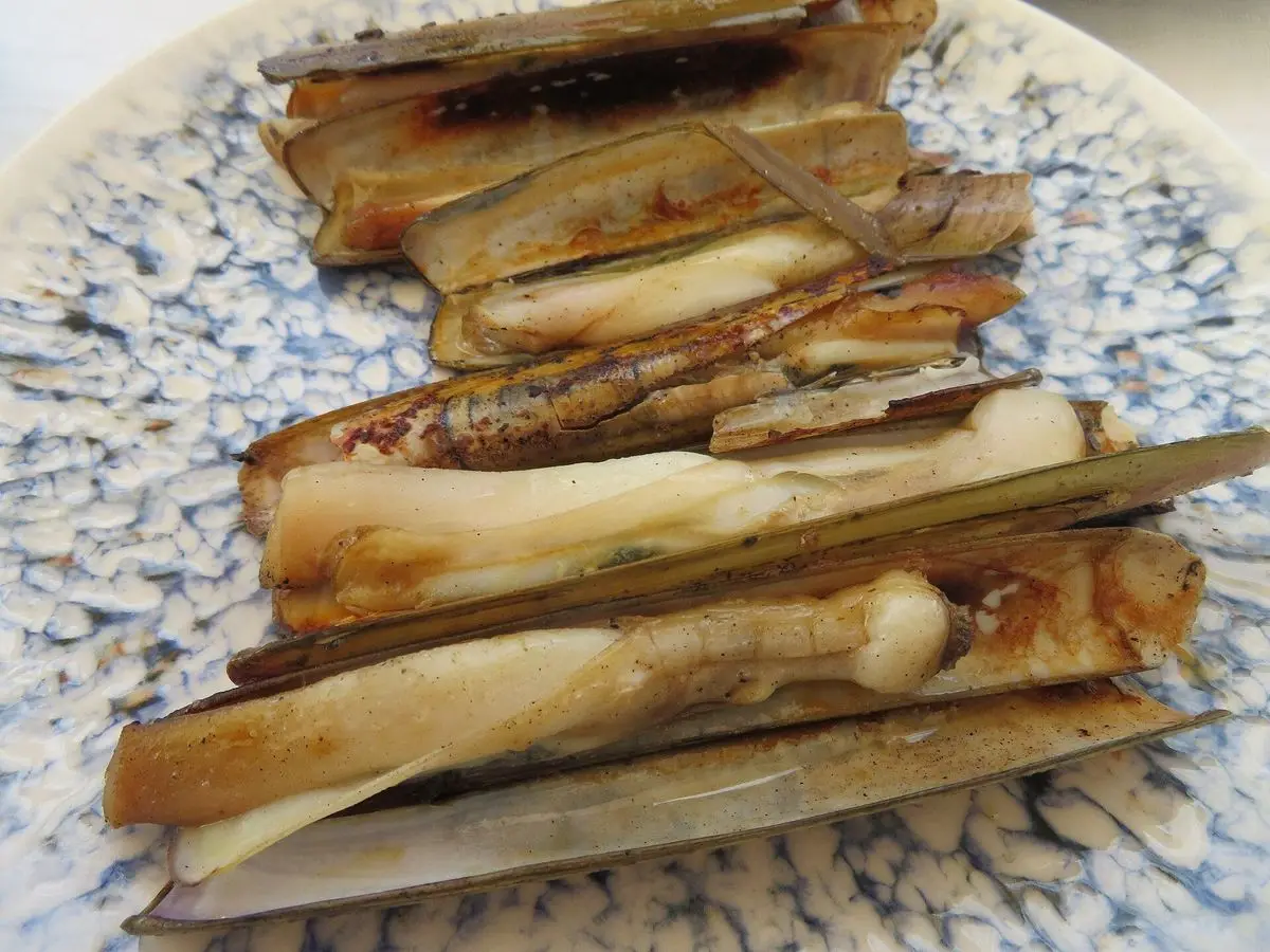 Navajas a la plancha abiertas en un plato de cerámica azul y blanco
