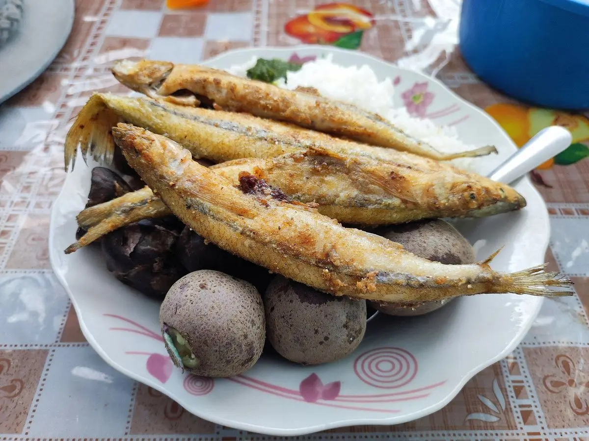 Pejerreyes rebozados y fritos con patatas y arroz blanco en un plato sobre mantel de flores