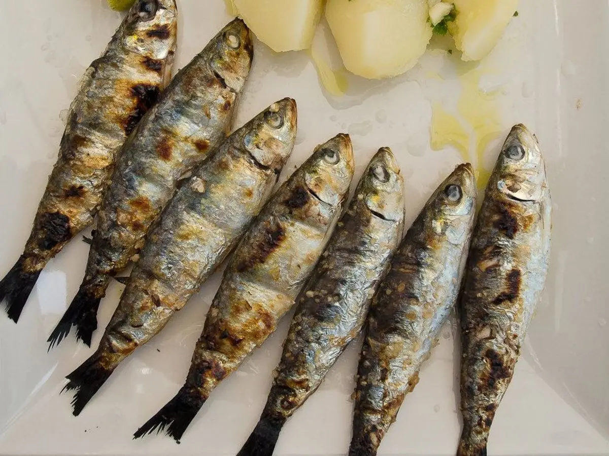 Sardinas a la plancha en un plato junto a patatas cocidas con perejil y una rodaja de lima