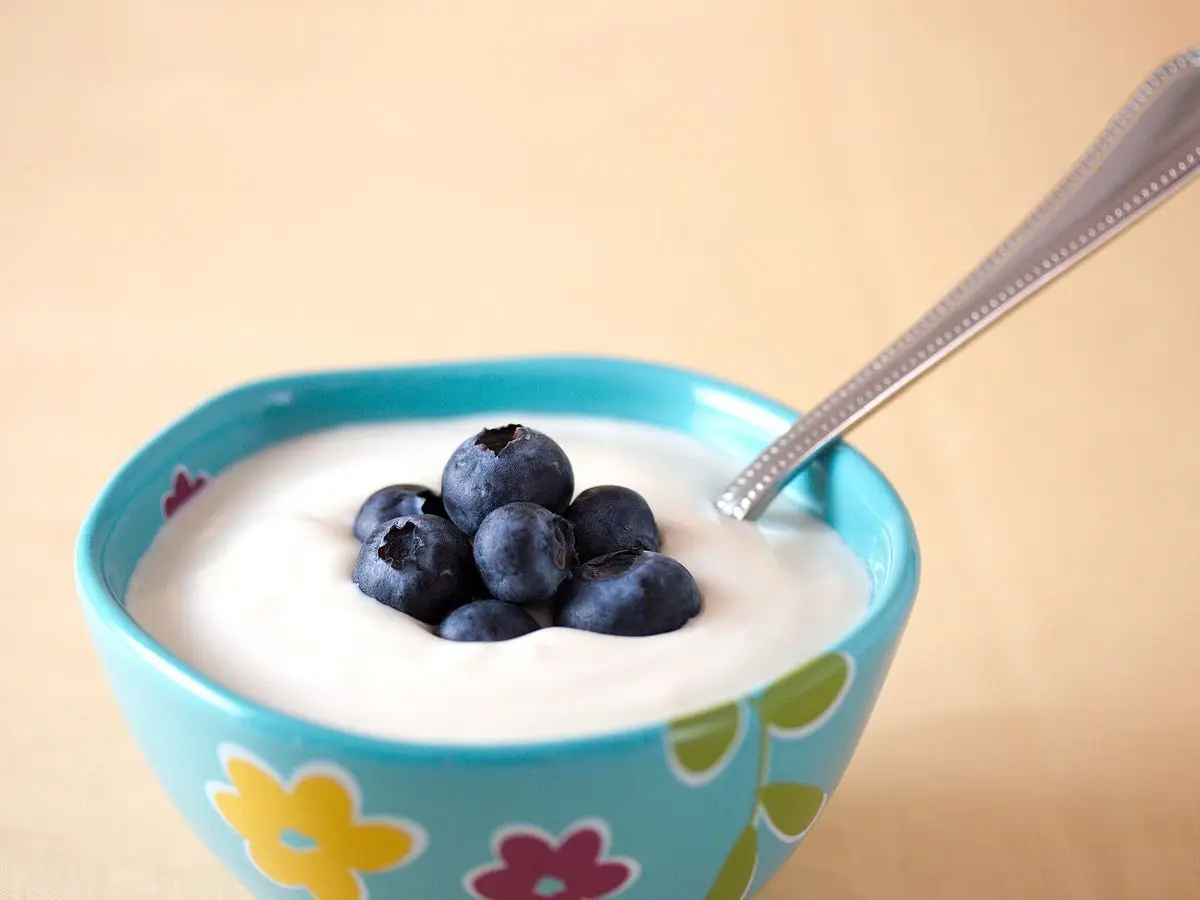 Cuenco turquesa con yogur natural y arándanos frescos por encima y una cuchara
