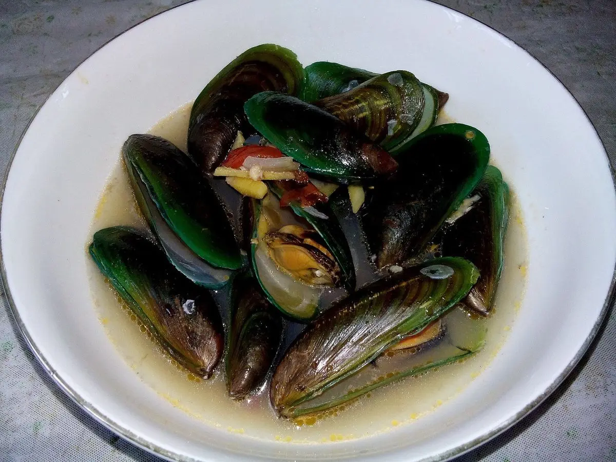 Plato hondo blanco con mejillones abiertos en un caldo claro