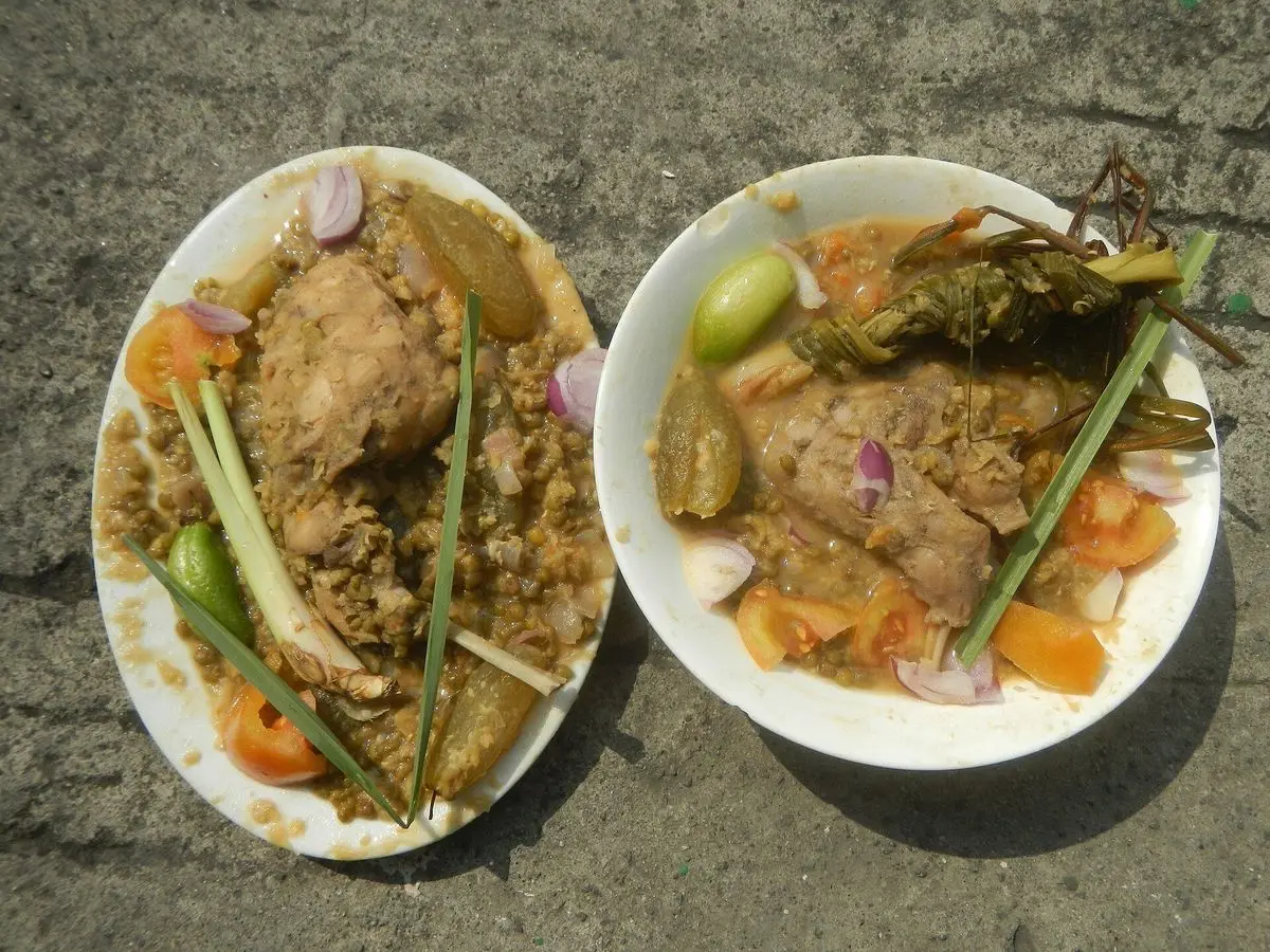 Dos platos blancos con carne guisada, cebolla y verduras en salsa