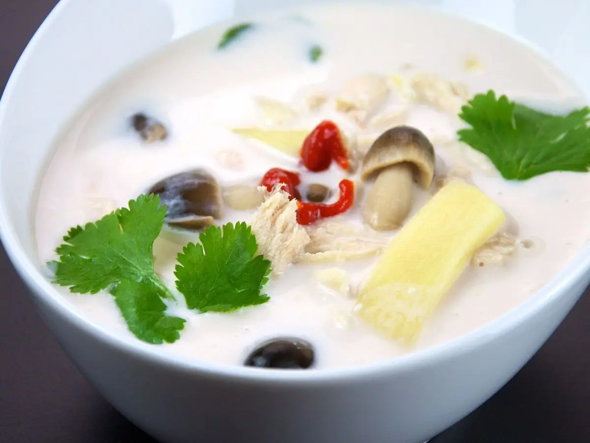 Cuenco blanco de sopa de coco con pollo desmenuzado, setas, galanga y cilantro