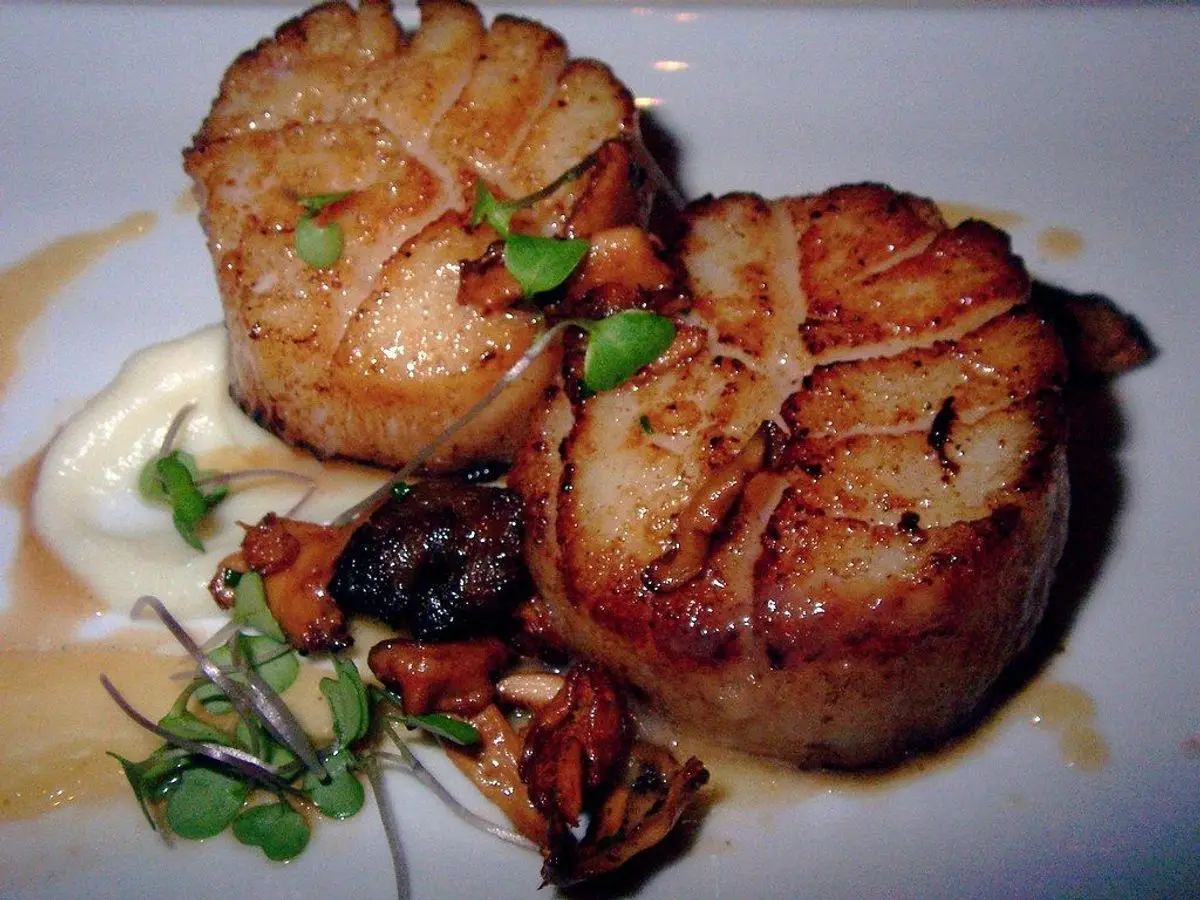 Vieiras doradas a la plancha con setas y crema en un plato blanco